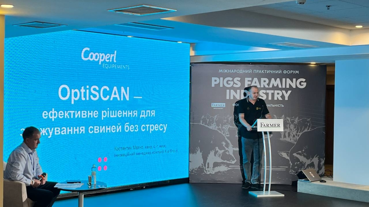 pigs-farming-industry